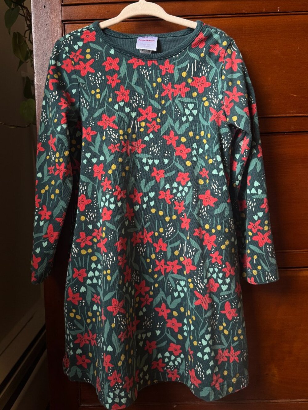 Hanna Andersson Red and Green Floral Dress